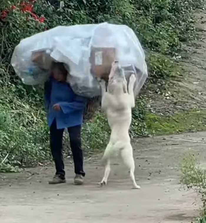 애니멀플래닛