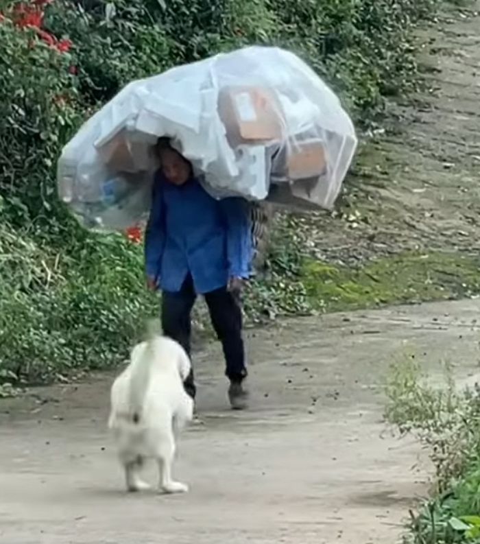 애니멀플래닛