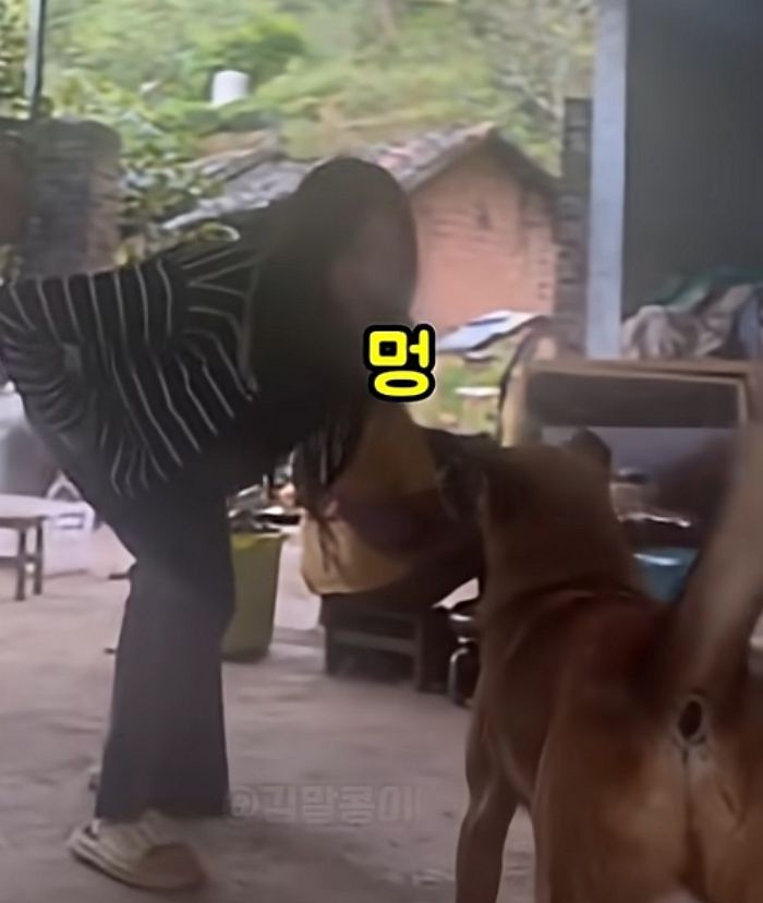 애니멀플래닛