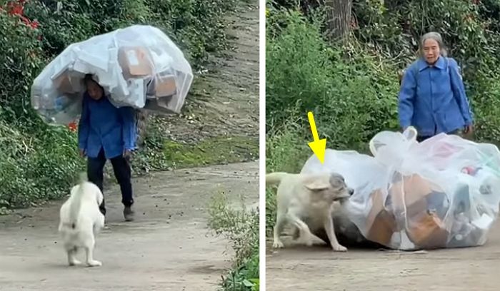 애니멀플래닛