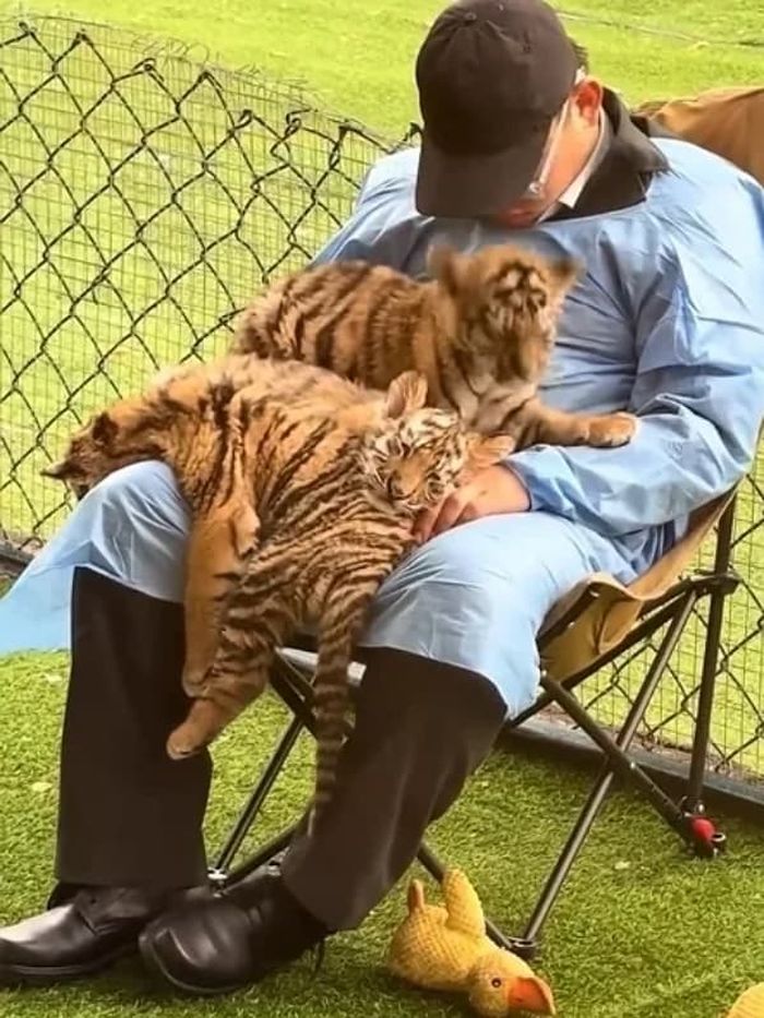 애니멀플래닛