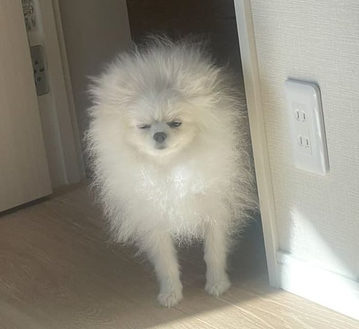 애니멀플래닛