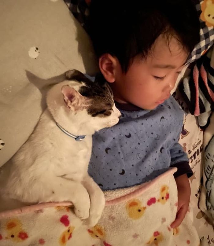 애니멀플래닛