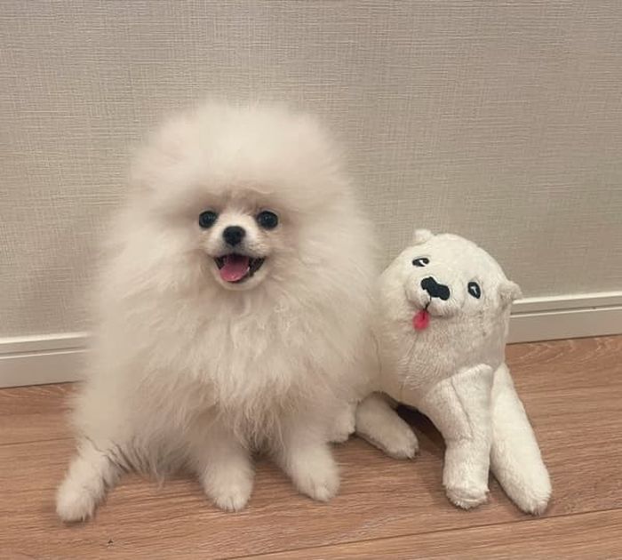 애니멀플래닛