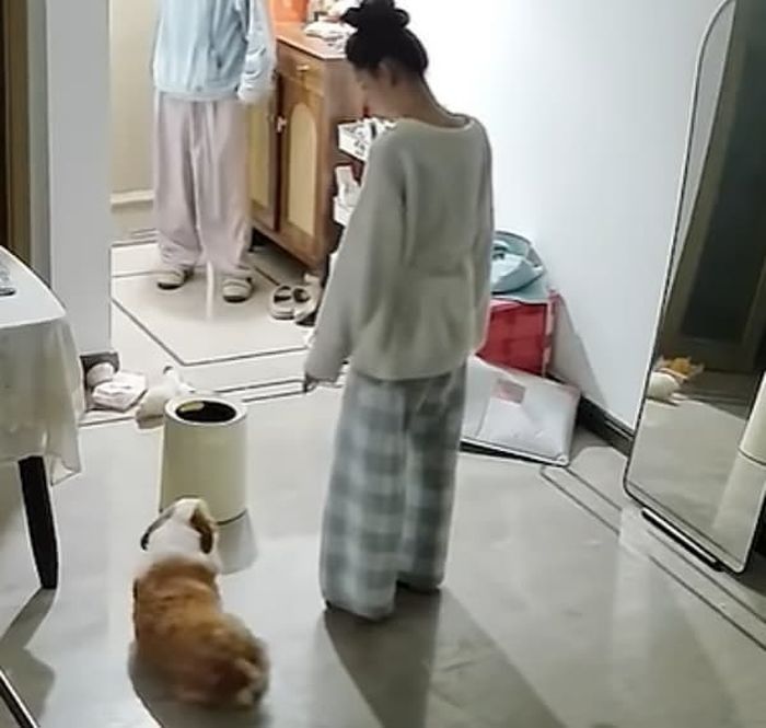 애니멀플래닛
