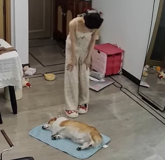 애니멀플래닛