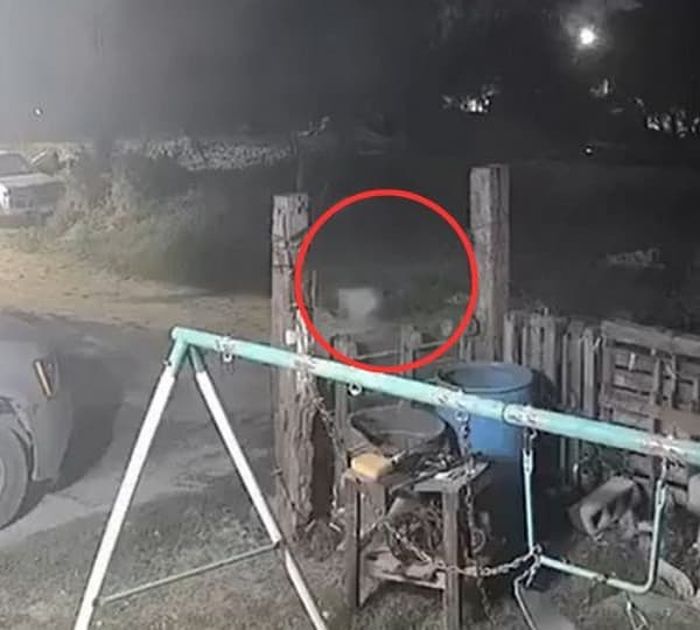 애니멀플래닛