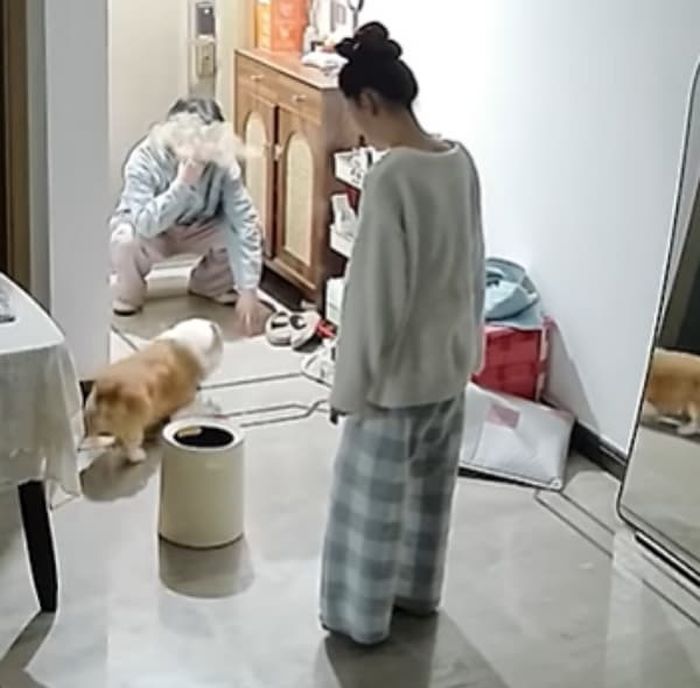 애니멀플래닛