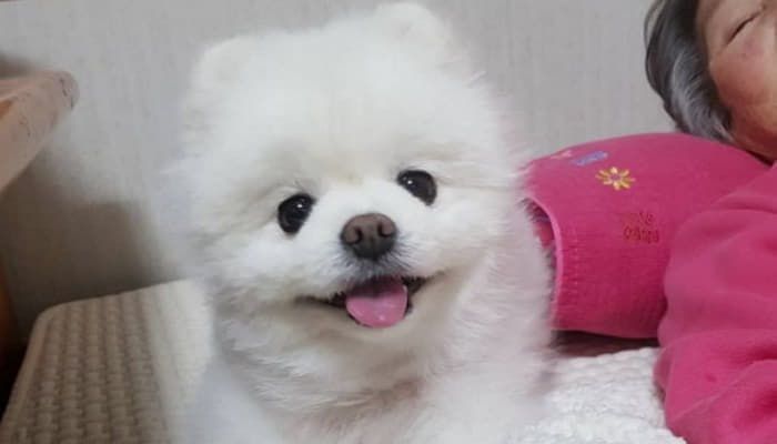 애니멀플래닛