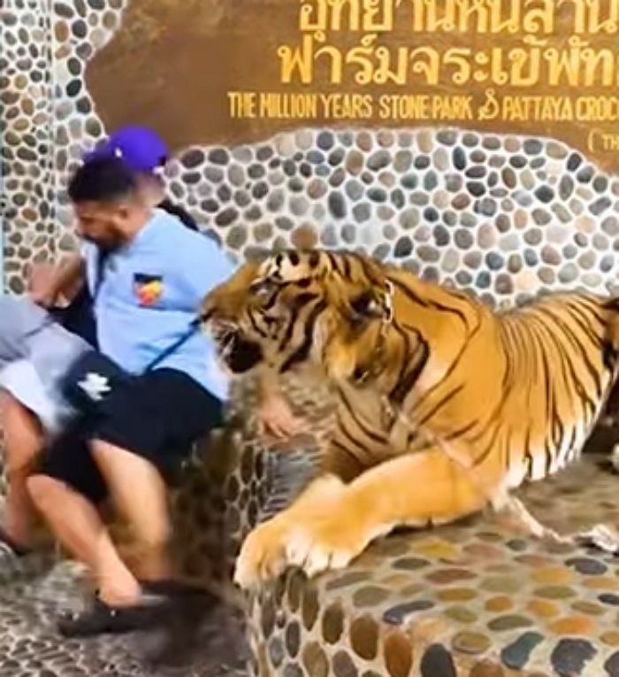 애니멀플래닛