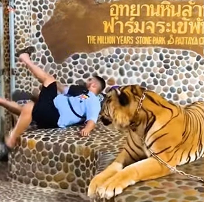 애니멀플래닛