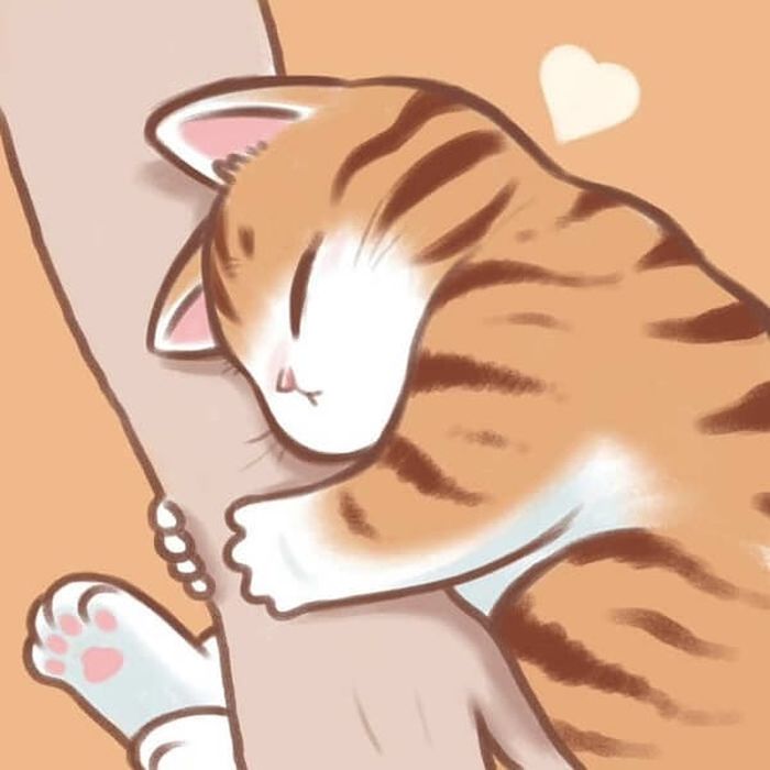 애니멀플래닛