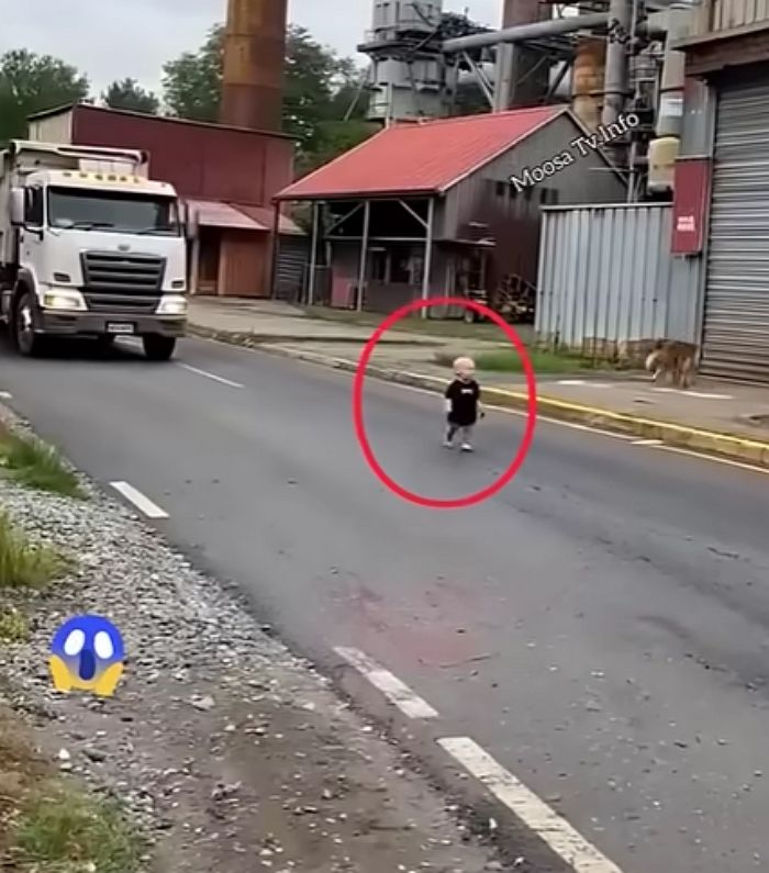 애니멀플래닛