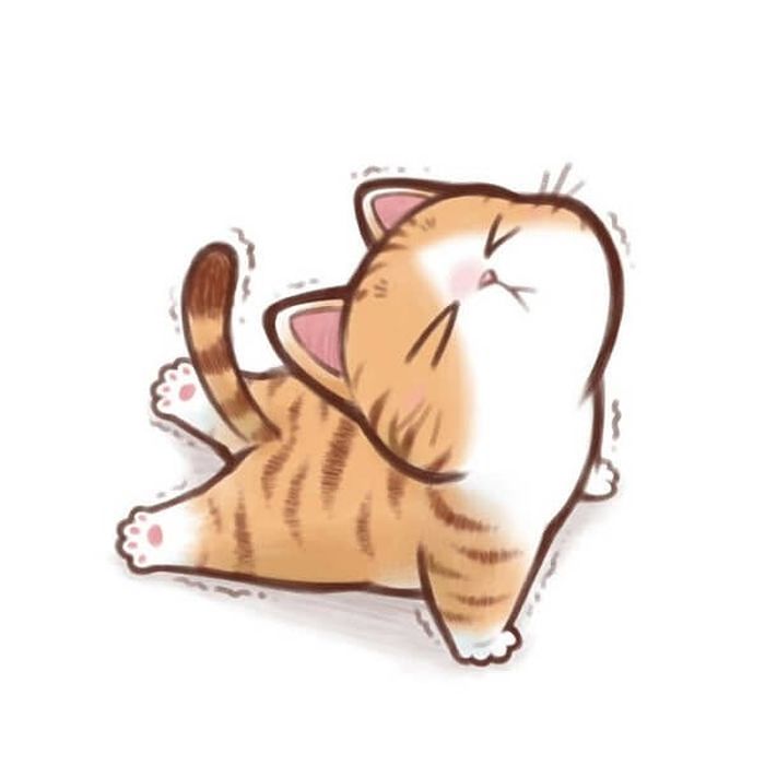 애니멀플래닛