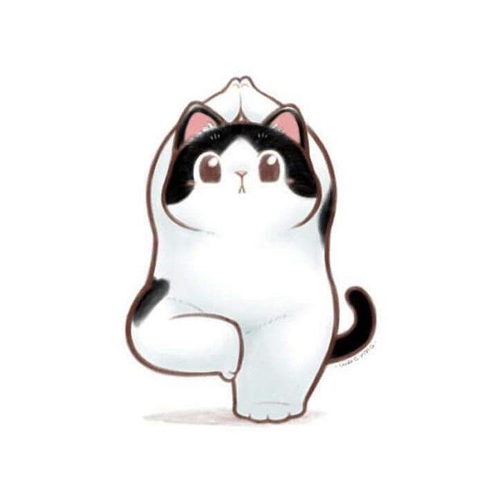 애니멀플래닛