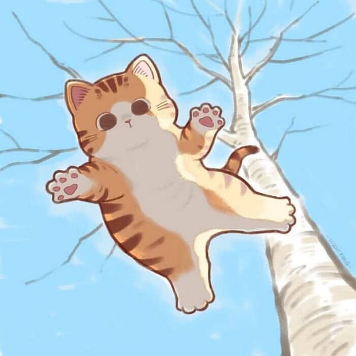 애니멀플래닛