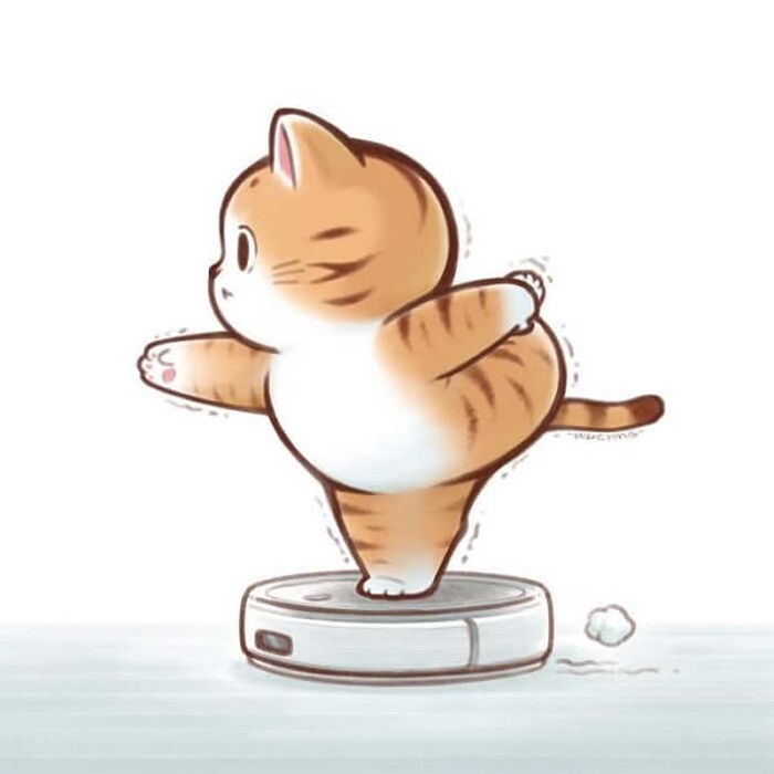 애니멀플래닛