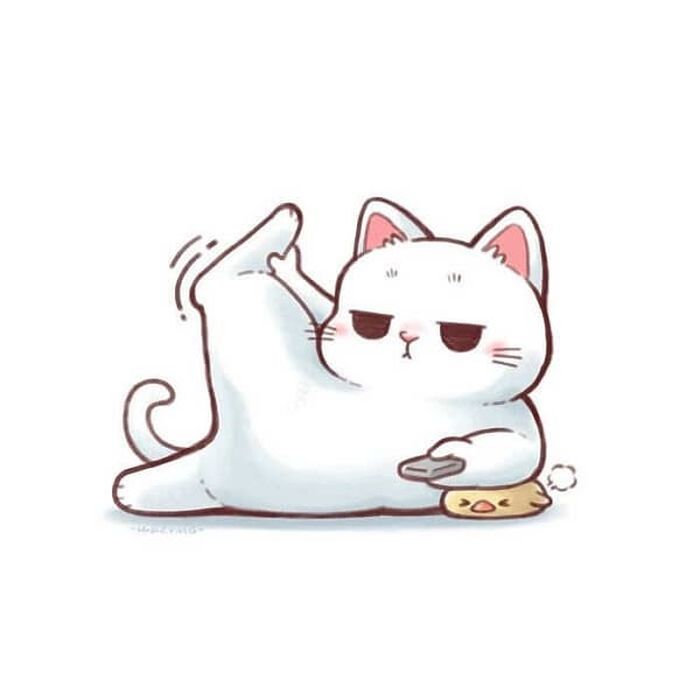 애니멀플래닛