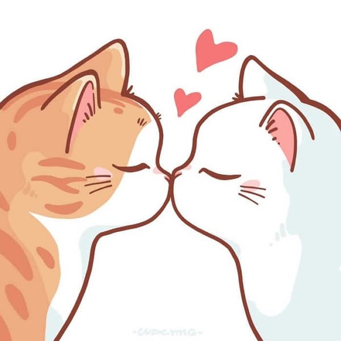 애니멀플래닛