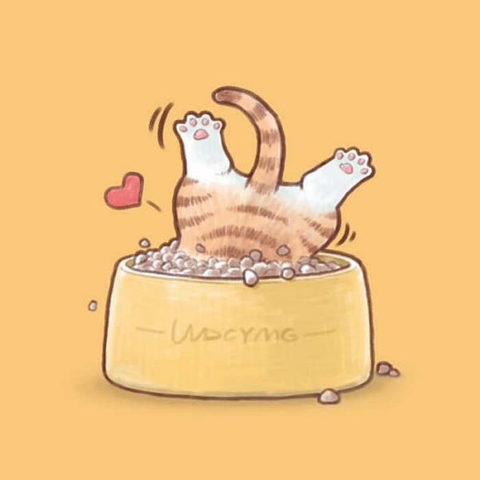 애니멀플래닛