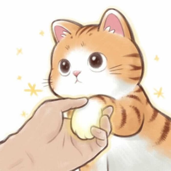애니멀플래닛