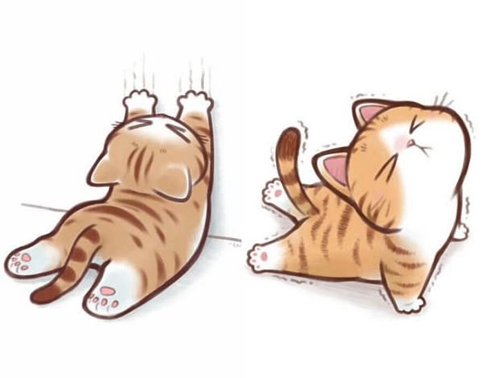 애니멀플래닛