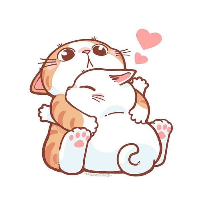 애니멀플래닛