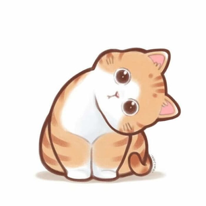 애니멀플래닛