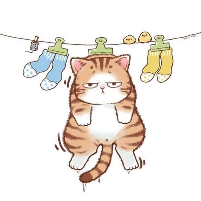 애니멀플래닛
