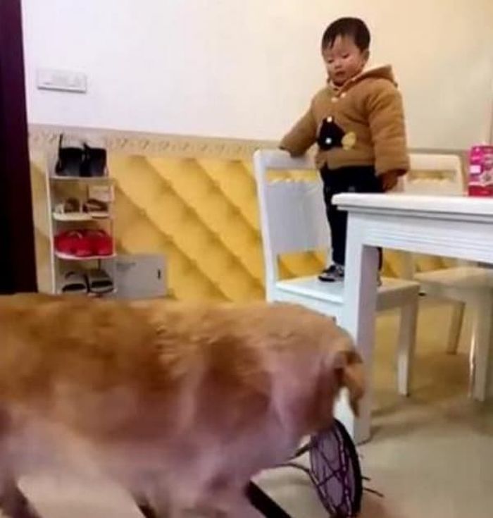 애니멀플래닛