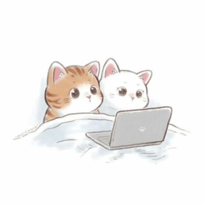 애니멀플래닛