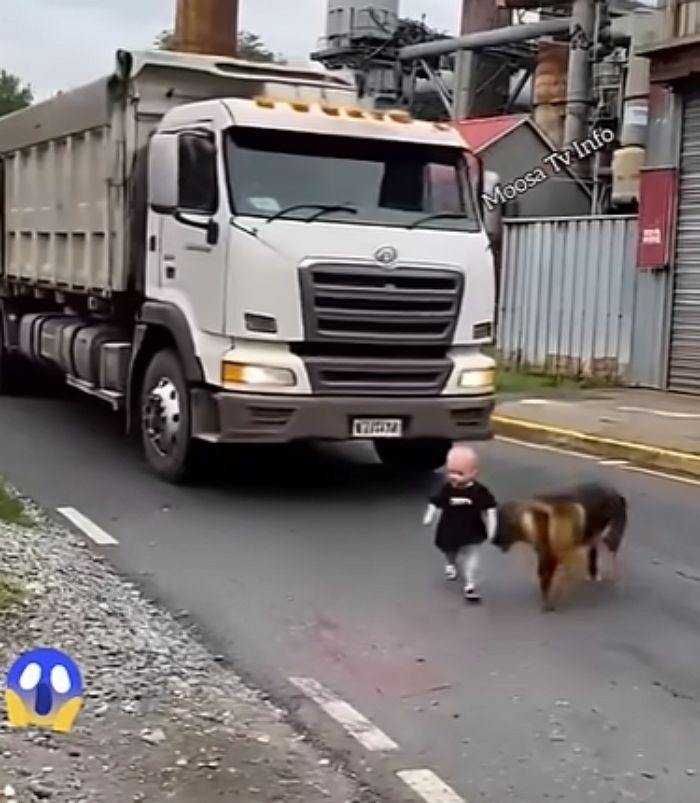 애니멀플래닛