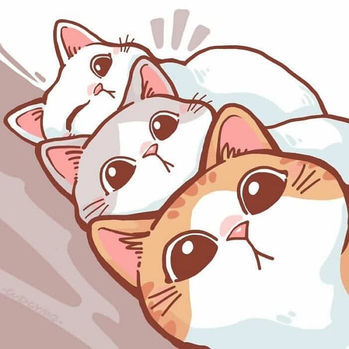 애니멀플래닛