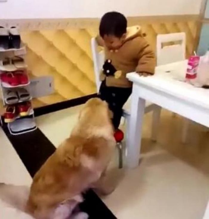 애니멀플래닛