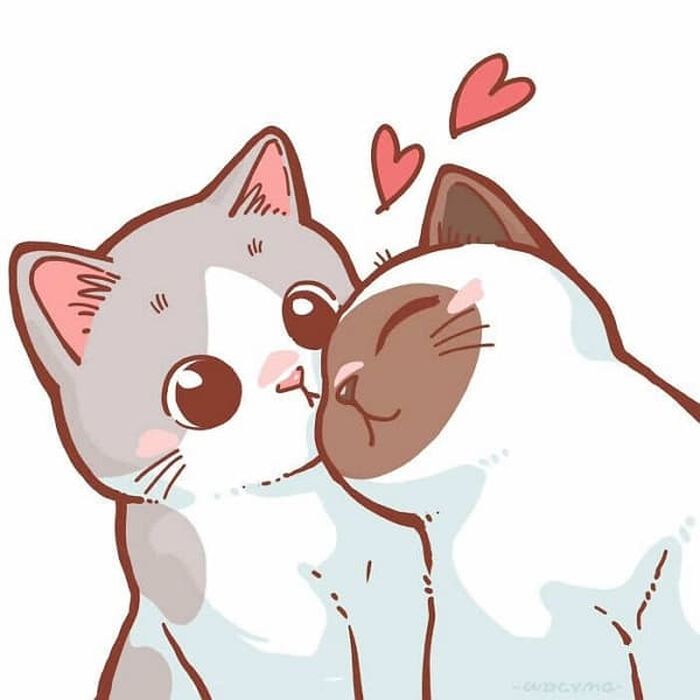 애니멀플래닛