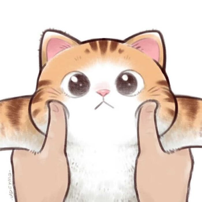 애니멀플래닛
