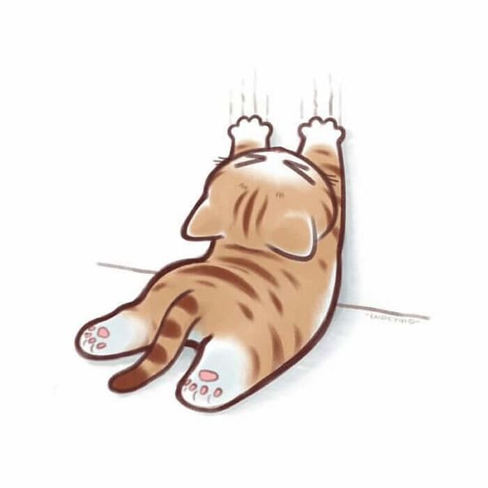 애니멀플래닛