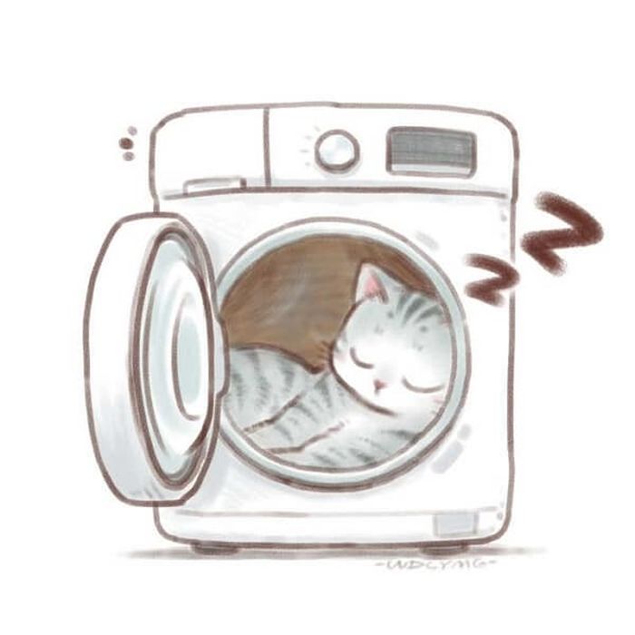 애니멀플래닛