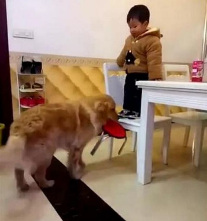 애니멀플래닛