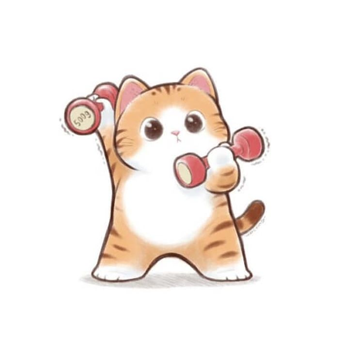 애니멀플래닛