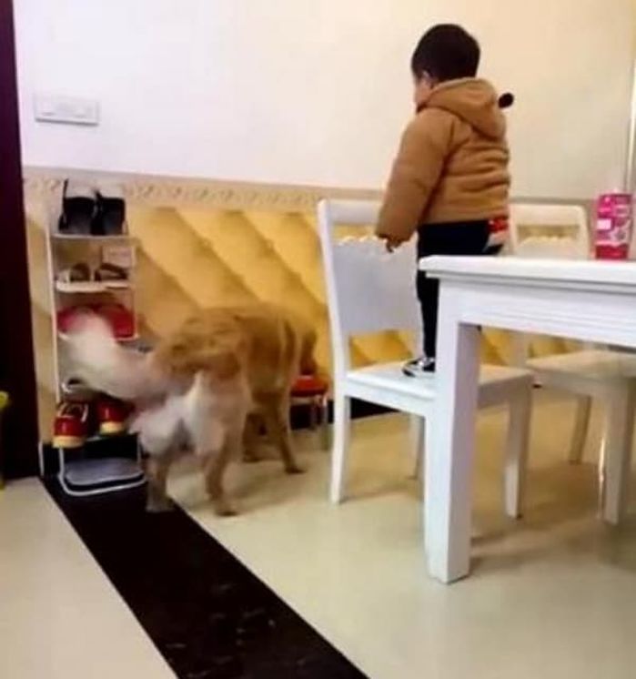 애니멀플래닛