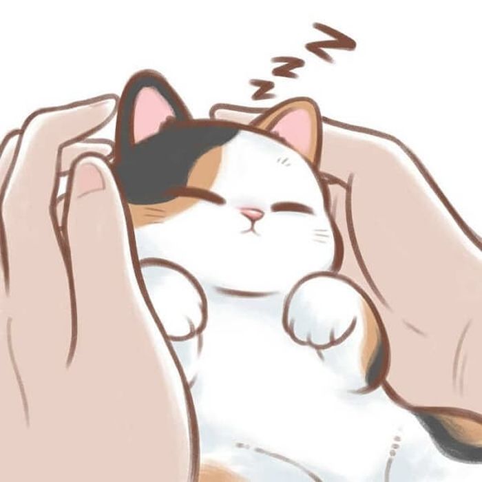 애니멀플래닛