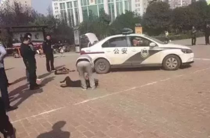 애니멀플래닛