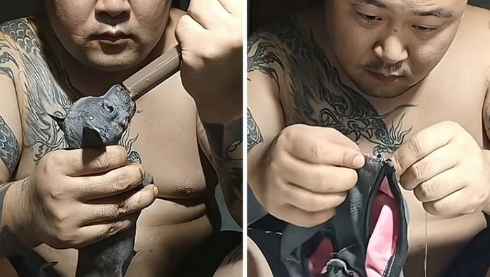 애니멀플래닛