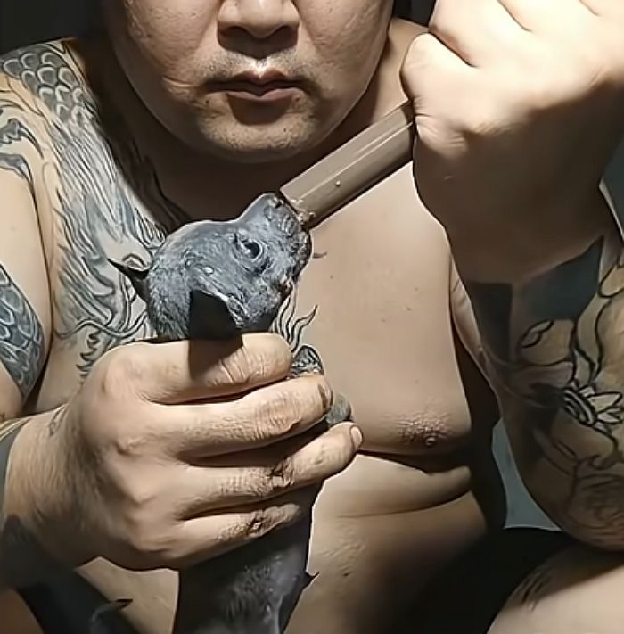 애니멀플래닛