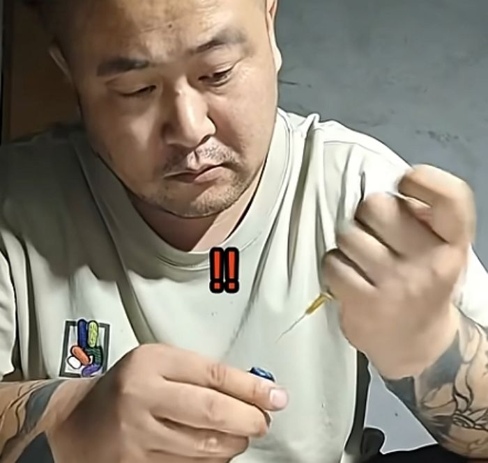 애니멀플래닛