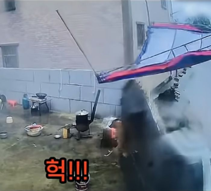애니멀플래닛
