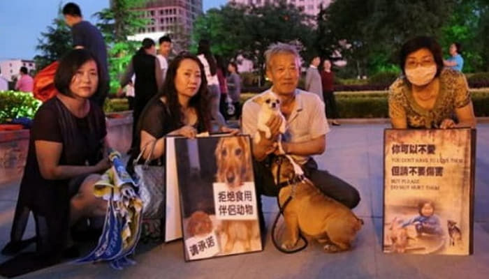 애니멀플래닛
