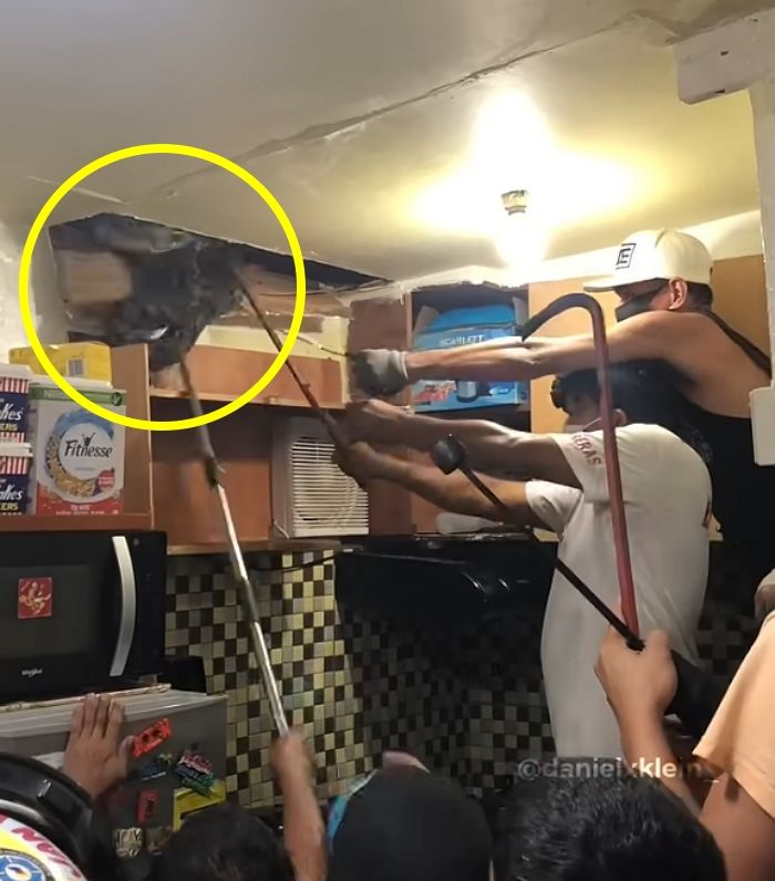 애니멀플래닛