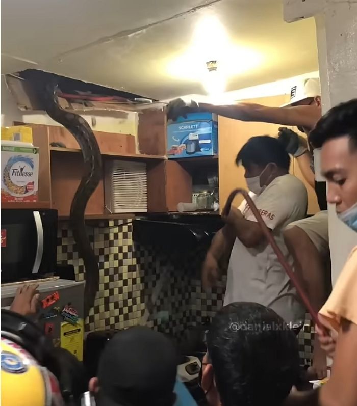 애니멀플래닛